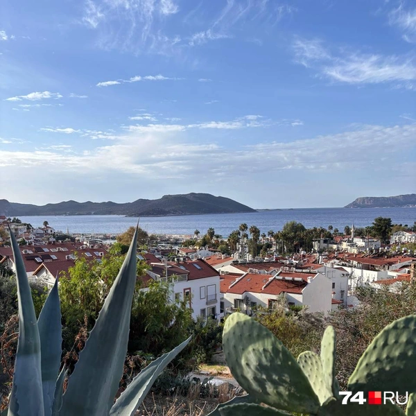 Источник: Наталия Колмогорова