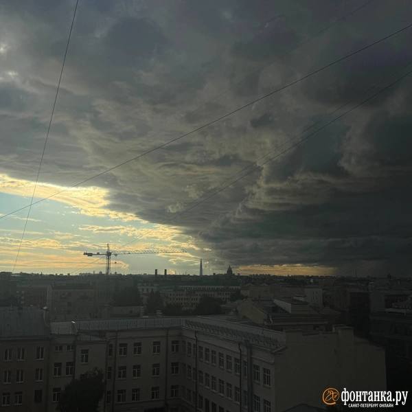 Источник: Серафима Зубкова / FONTANKA.RU