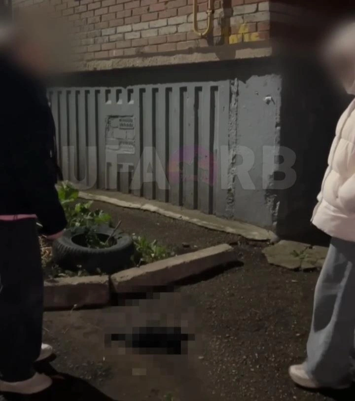 Момент падения животного попал на видео | Источник: скриншот из видео Ufa_rb / Telegram