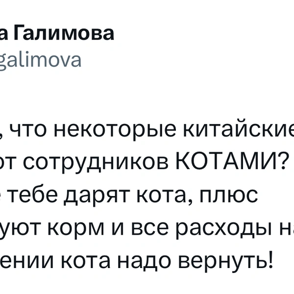 Источник: X (Twitter)