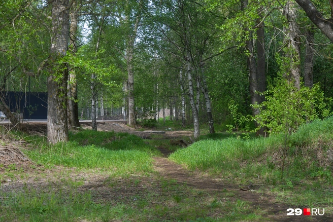 Источник: Иван Митюшёв