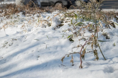 Приморье ждут морозы: прогноз на неделю