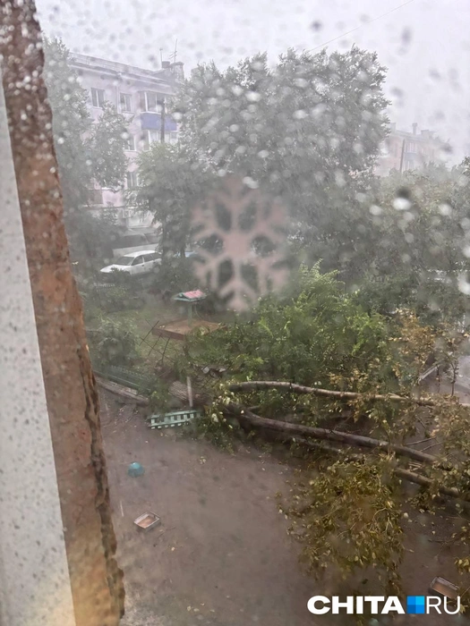 Источник: очевидец 