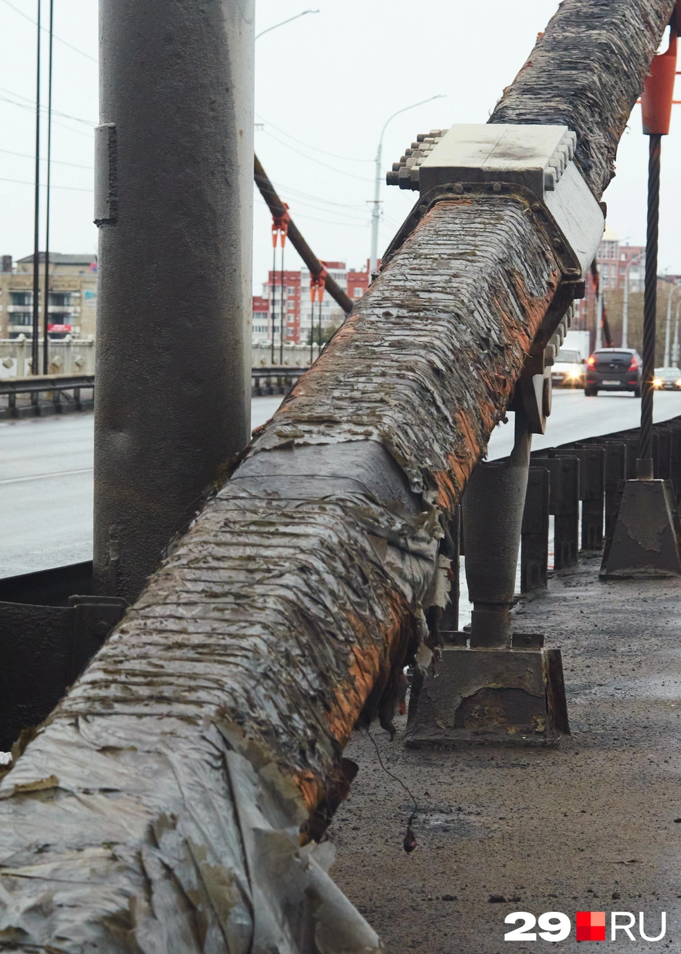 Источник: Антон Данилов / 29.RU