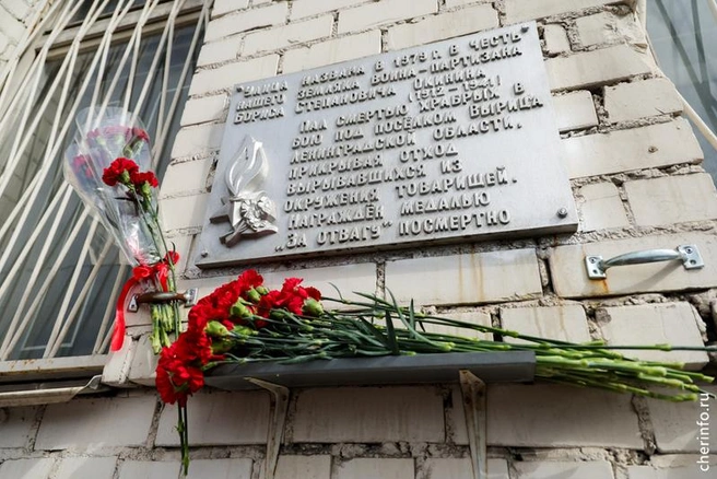 Источник: st.cherinfo.ru