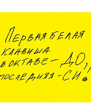 Что творится на экране компьютера Дениса Мацуева