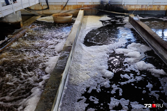 На Метелевском водозаборе несколько резервуаров, где вода проходит очистку | Источник: Ирина Шарова / 72.RU