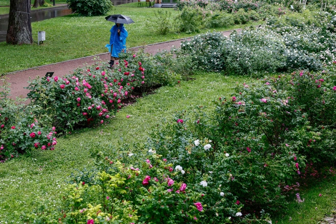 Сколько нарушений выявили на особо охраняемых природных территориях Алтайского края за 2025 год? | Источник: Юлия Морозова / MSK1.RU