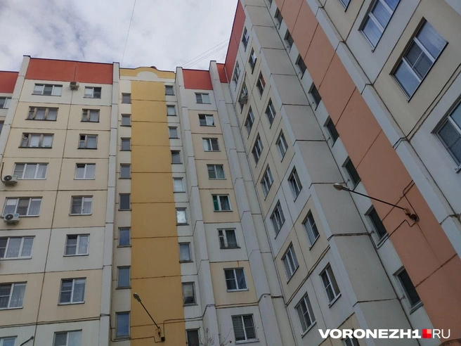 Источник: Дмитрий Волгин / Voronezh1.ru