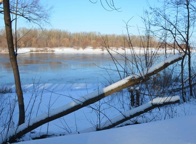 В Рязанской области существенно похолодает и пойдет снег | ya62.ru