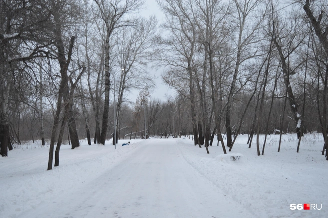 Прогулочные дорожки почищены, за это спасибо | Источник: Анастасия Баринова / 56.RU