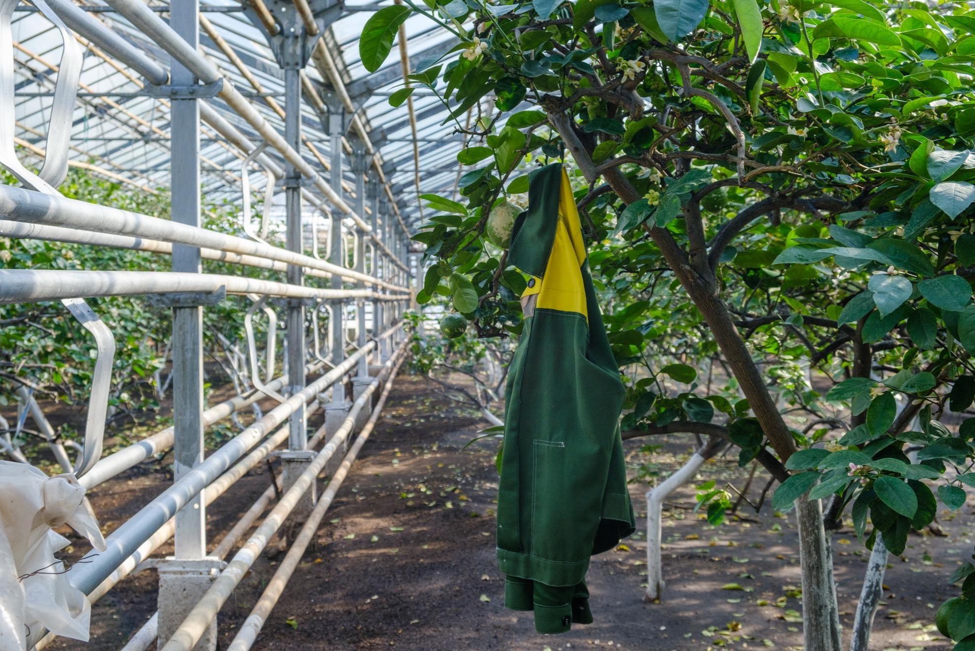 Новости за 8 апреля 2026, все самое интересное актуальное в Москве ...