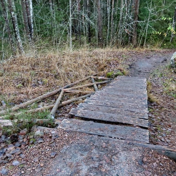 Источник: Музей-заповедник «Парк Монрепо»