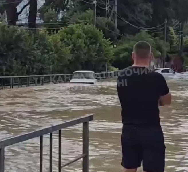 Ночной ливень затопил трассу Джубга — Сочи: движение прерывали вода и упавшее дерево | Источник: ДТП и ЧП Сочи /telegram