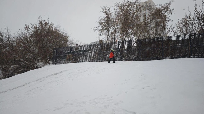 Замерзающие уточки и пробки: как Новосибирск переживает метель — хроника | Источник: Маргарита Резникова / NGS.RU