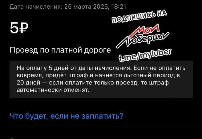 Источник: Мои Люберцы / T.me