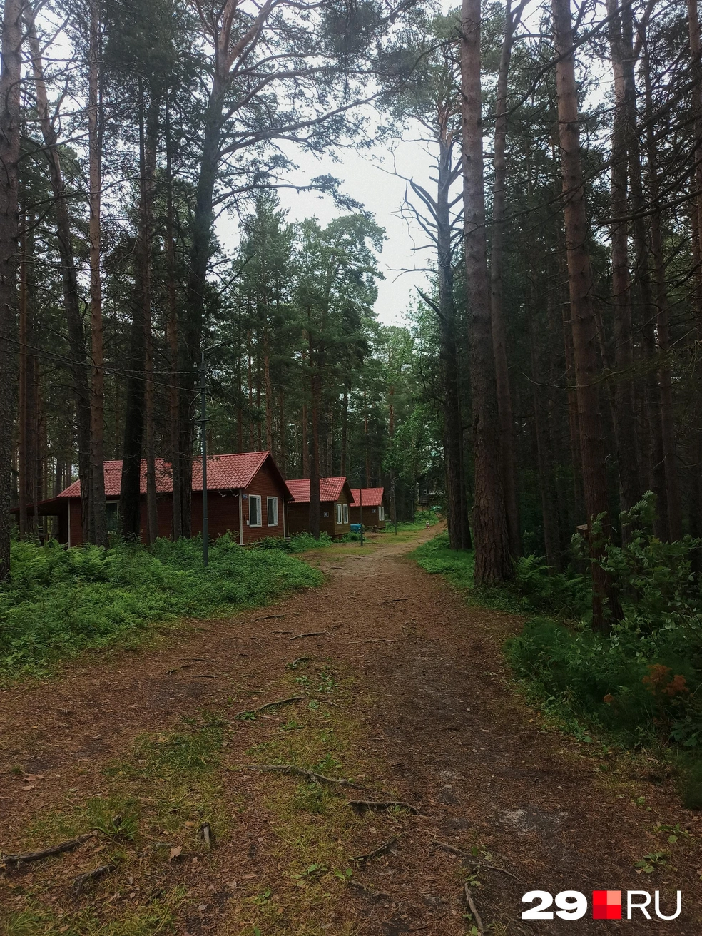 Источник: Ярослав Вареник