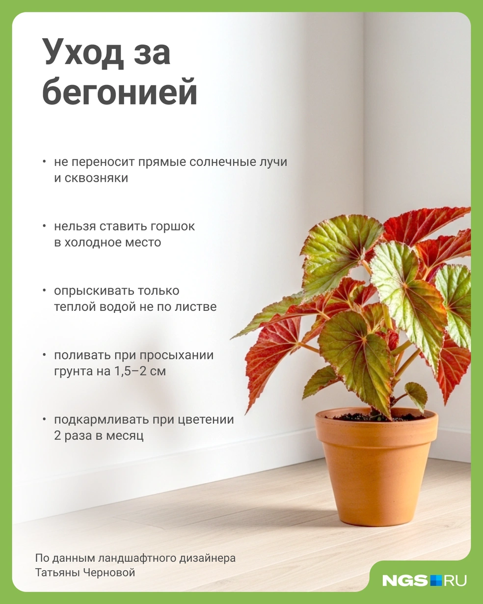 Источник: Юрий Орлов / Городские медиа