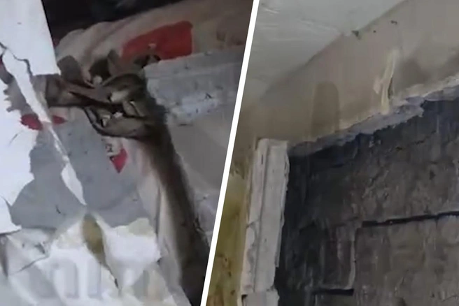 Инцидент произошел сегодня днем | Источник: mash_nimash / t.me