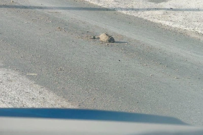 Cobblestones mixed with sand on Chita roads hit car windshields
