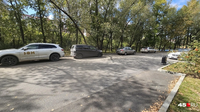Машины возле парка альпак, журналист насчитала семь припаркованных автомобилей | Источник: Дарья Никитченко / 45.RU