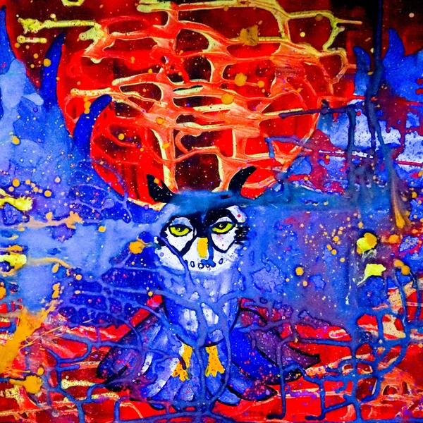 Филин | Источник: Наталья Пронина