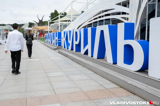 Источник: Елена Буйвол / VLADIVOSTOK1.RU