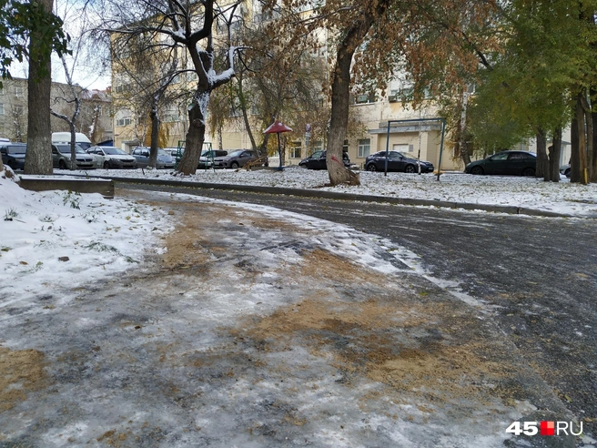 Источник: читатель 45.RU