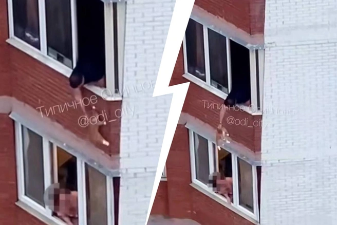 Вытащил из окна и ударил об стену: в Одинцово сняли на видео живодера, который издевался над котом | Источник: «Типичное Одинцово» / T.me