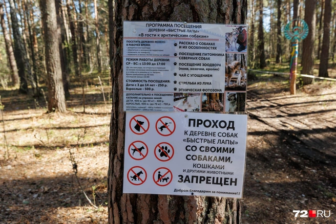 Чуть не забыли: в собачью деревню со своей живностью нельзя. Совсем. Даже пожалуйста | Источник: Ирина Шарова / 72.RU