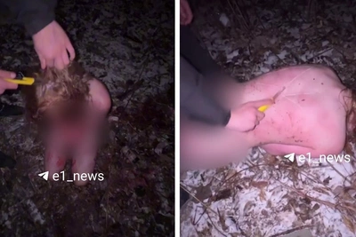 Каратели пытали школьницу на Урале за кражу наркотиков