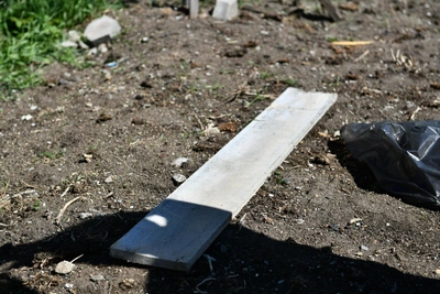 Многодетные семьи Владивостока получили участки на скотомогильнике