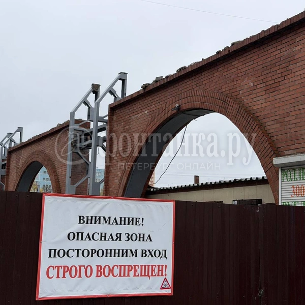 Источник: Евгения Горбунова / FONTANKA.RU