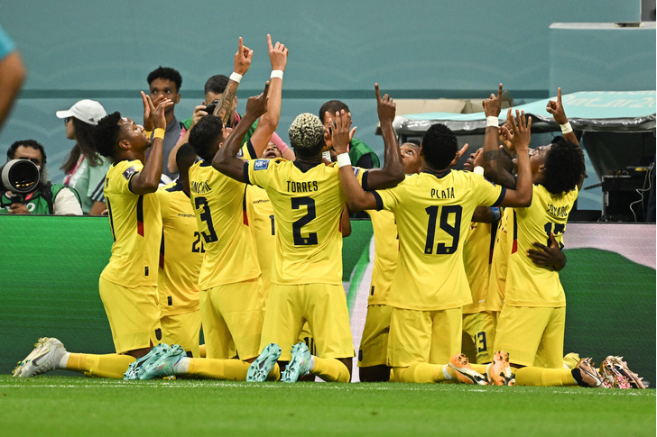 Сборная Эквадора победила в стартовом матче Чемпионата мира по футболу