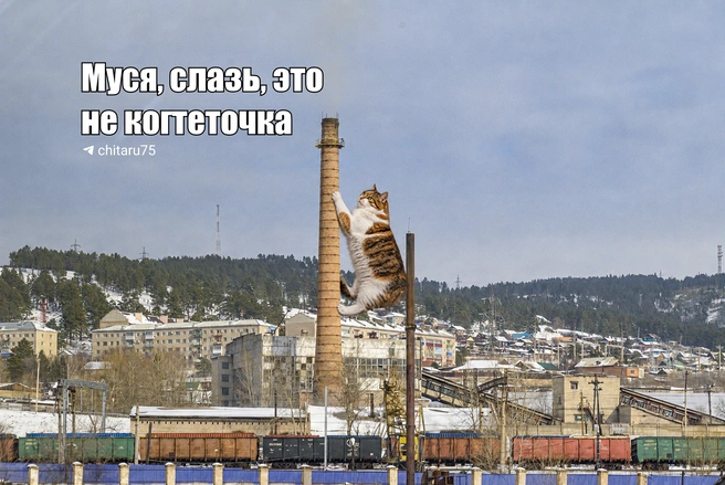 Источник: Вячеслав Палкин