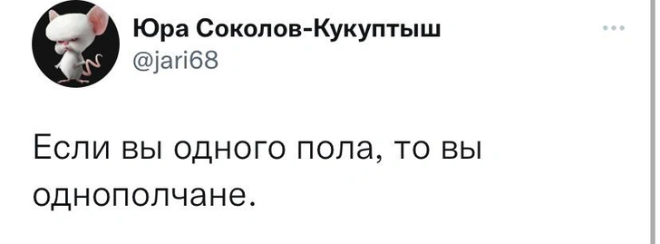 Шутки среды и ленивое полежуище