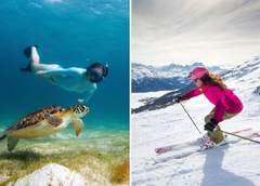 Покормить огромных черепах и покататься на горных лыжах: чем заняться в отпуске в декабре и январе