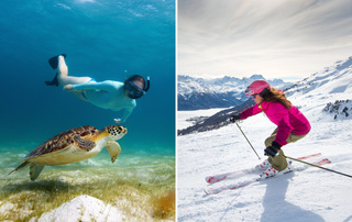 Покормить огромных черепах и покататься на горных лыжах: чем заняться в отпуске в декабре