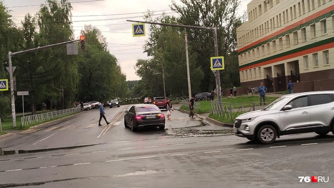 На улице Серго Орджоникидзе дерево перегородило дорогу | Источник: Ирина