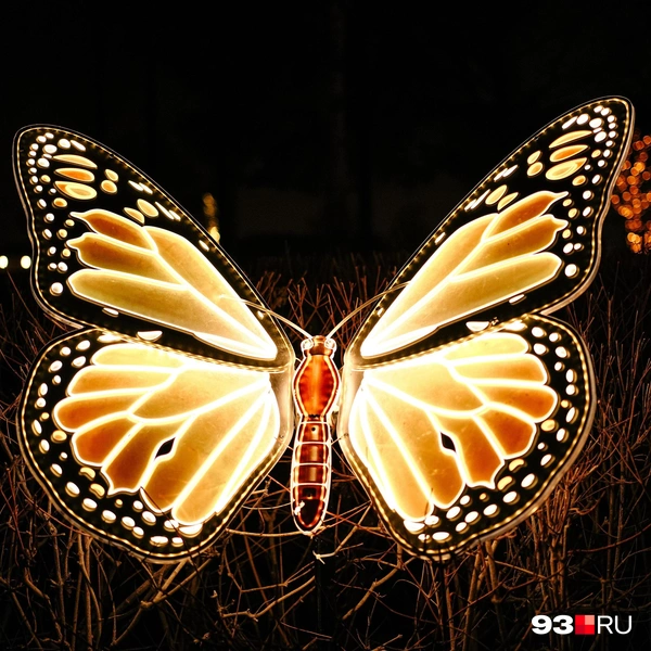 Источник: Дарья Паращенко / 93.RU