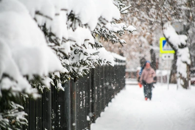Воскресная погода в Иркутске не для прогулок