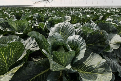 Why not wash hair on 24 September