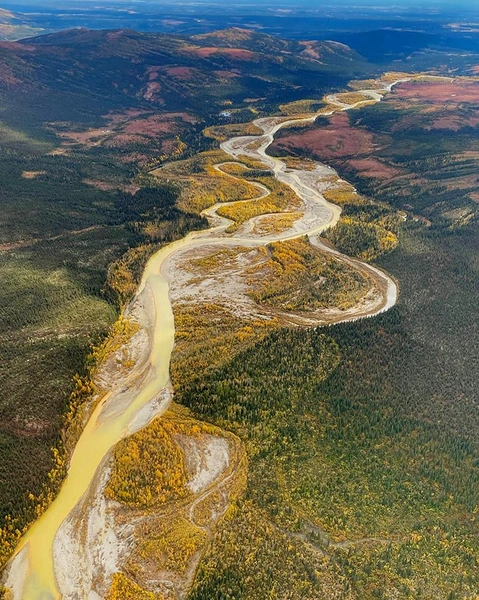 113-километровая река Салмон (Salmon River) была названа так из-за большого количества косяков кеты и горбуши | Источник: Ray Koleser 