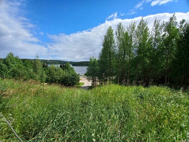 Недалеко отсюда люди собирались на поиски | Источник: Автокемпинг «GREENCAMPING» / vk.com
