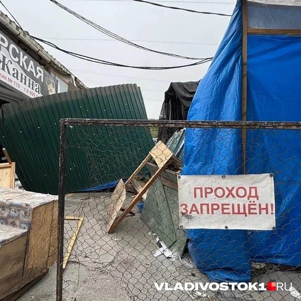 Источник: Елена Буйвол / VLADIVOSTOK1.RU