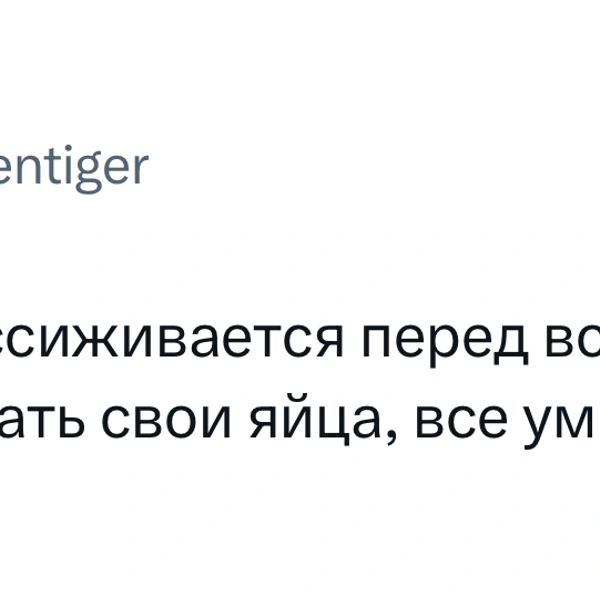 Источник: X (Twitter)
