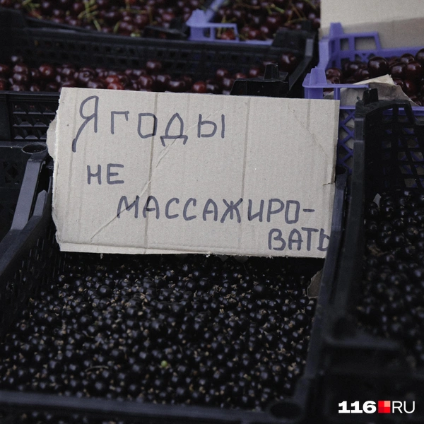 Источник: Лина Саитова / 116.RU