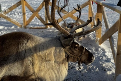 Афиша Якутска: арт-свидания, балет и активный отдых