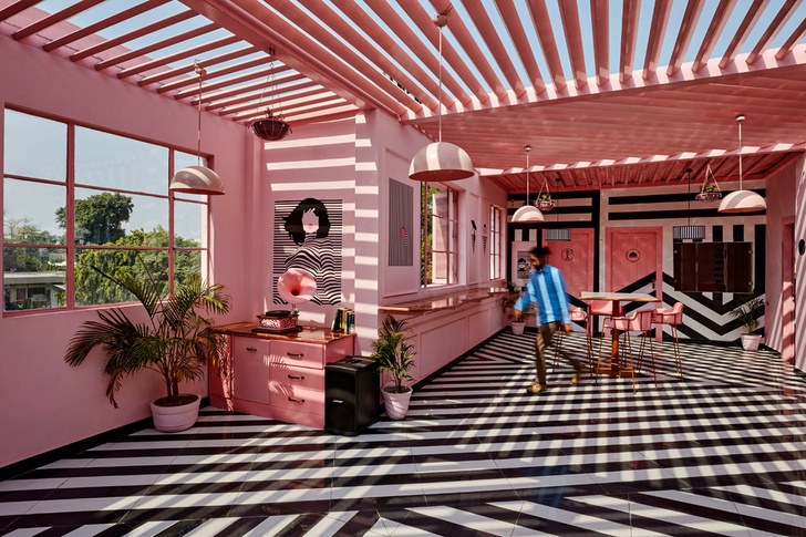 The Pink Zebra: ресторан в эстетике Уэса Андерсона (фото 2)