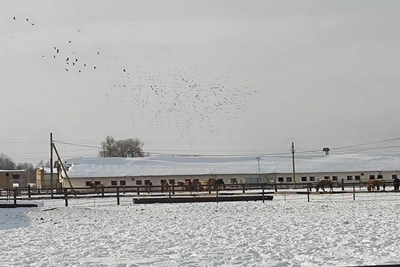 Ольховое: советский поселок, где делают башкирский кумыс